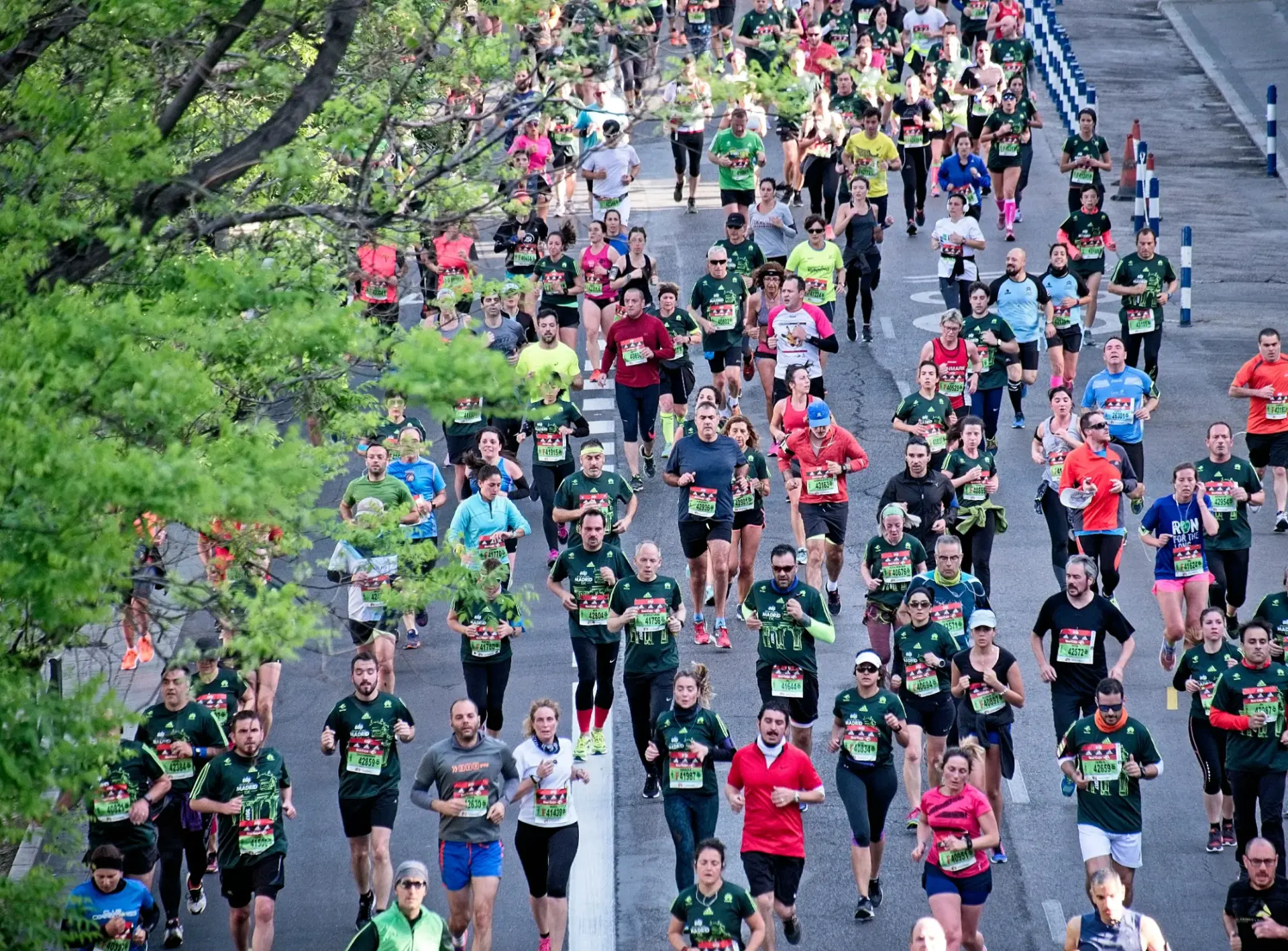 Marathon Tapering: How Many Weeks and How Much to Cut Back